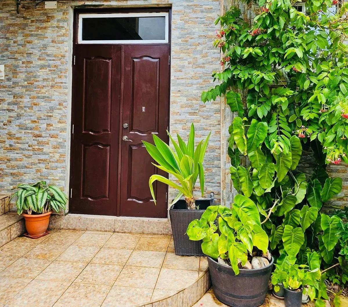 Sleek 1-Bedroom Apt #1 - 5 Mins To Sgu True Blue
